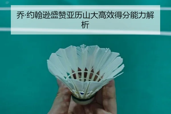 乔·约翰逊盛赞亚历山大高效得分能力解析
